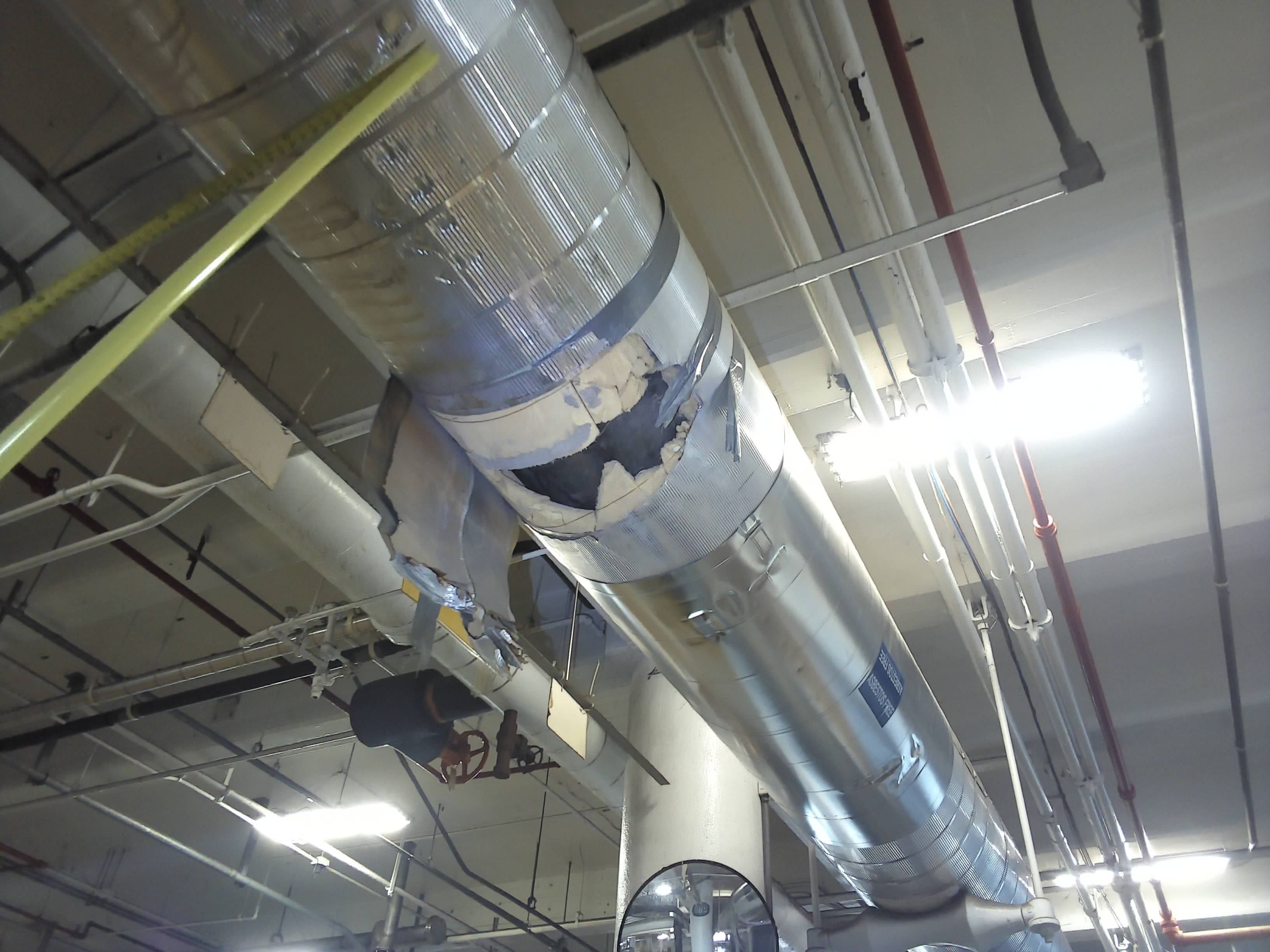 VIS: Ref 090431 - VIS