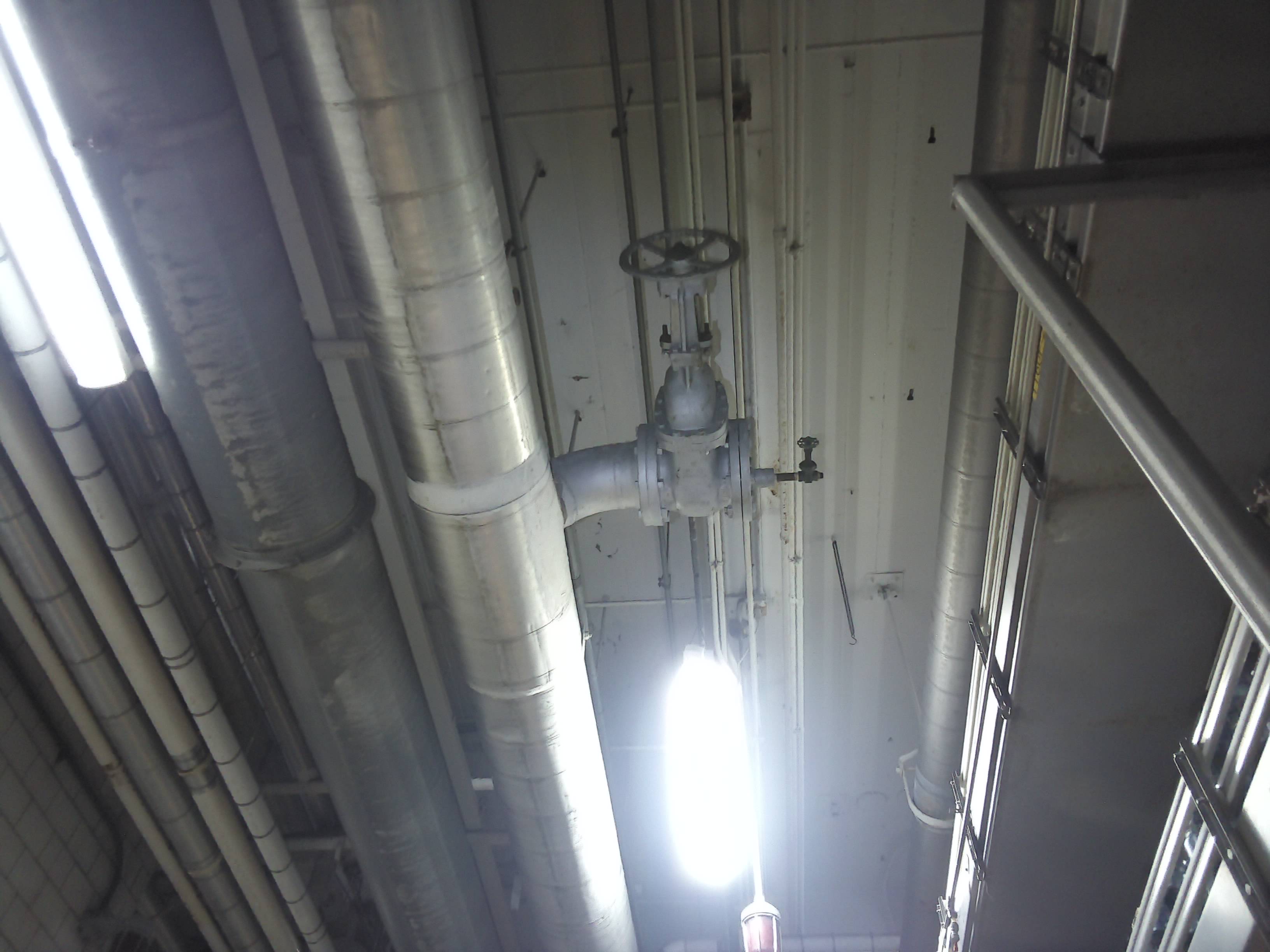 VIS: Ref 095631 - VIS