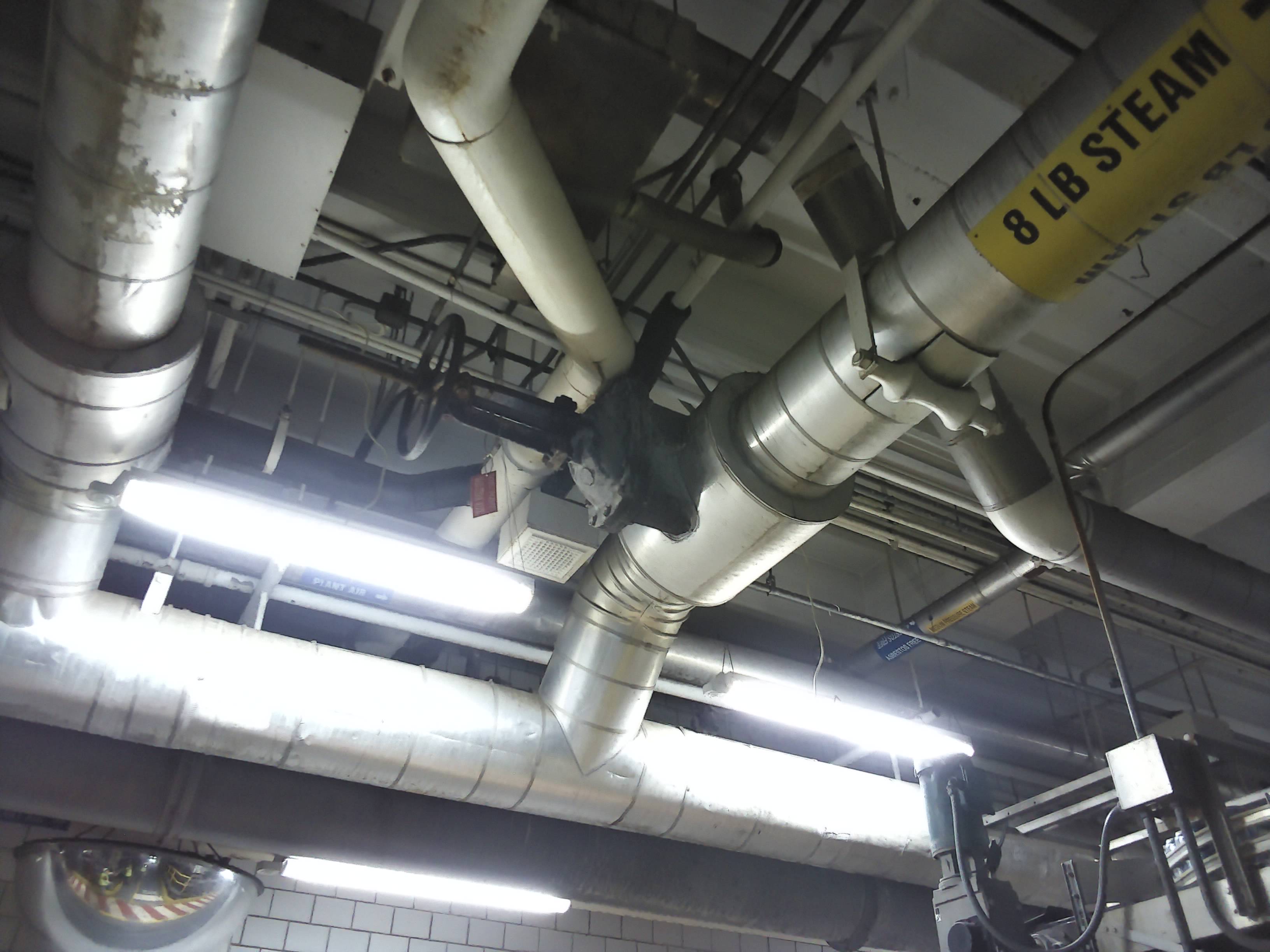 VIS: Ref 095757 - VIS